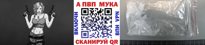  COCAIN Багратионовск