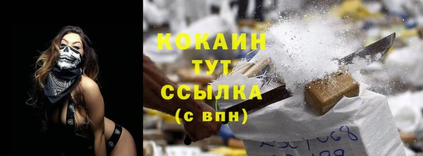 гидра Рославль