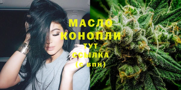 гидра Рославль