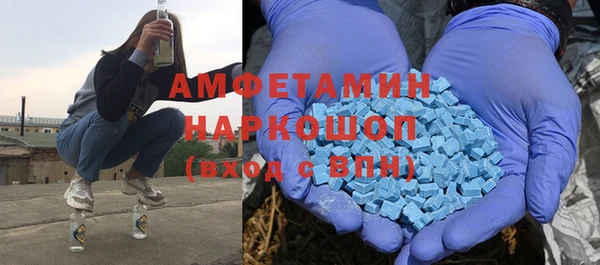гидра Рославль