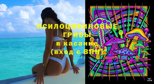 гидра Рославль