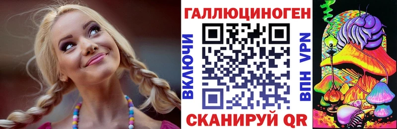 Галлюциногенные грибы Psilocybe  Багратионовск 